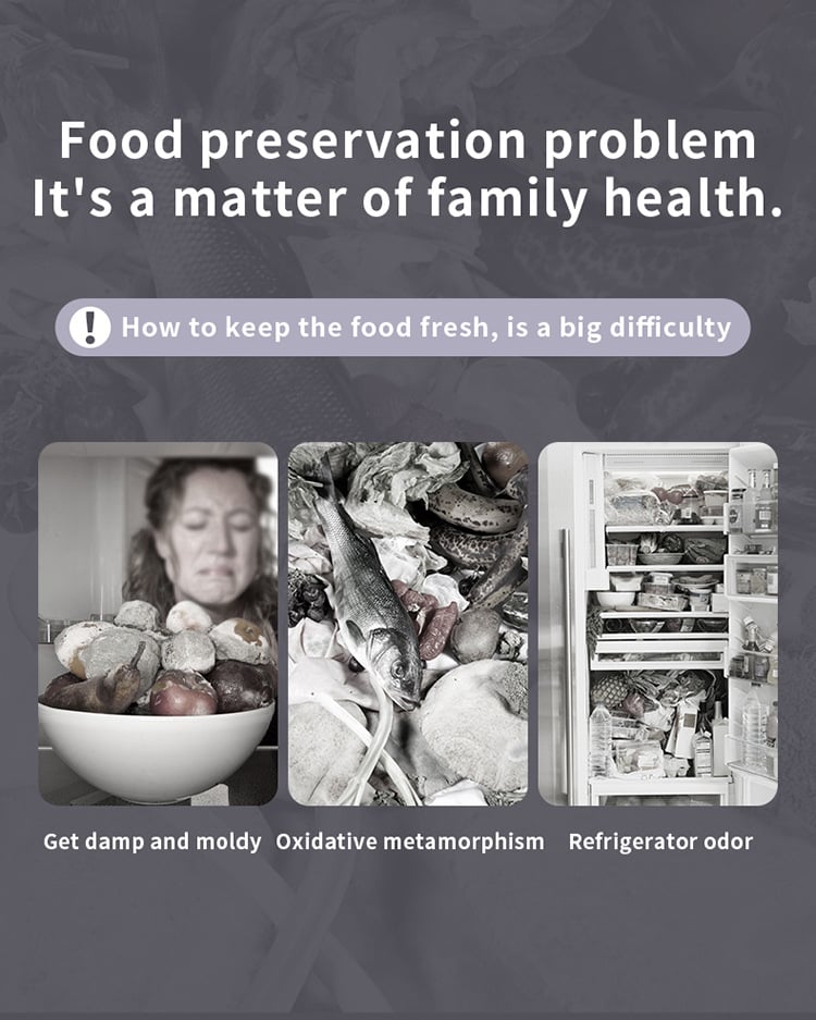 FreshLock Mini Wireless Vacuum Sealer